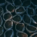 topsoil